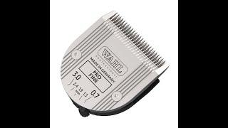 WAHL 5-in-1 Clipper Blades: How to Disengage, Engage & Sharpen Better Than New!