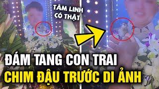 Người bố nghẹn ngào khi có 'CHIM LẠ' đậu trước 'DI ẢNH' con trong ngày 'TANG LỄ' | Tin 5s