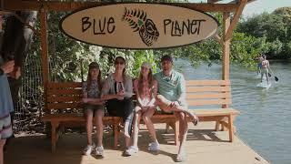 Blue Planet Adventure Co.- paddle rentals in Hale'iwa- customer testimonials, turtles and more