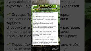 полезные советы по выращиванию томатов, огурцов и перца.