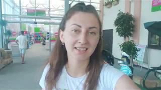 Поездка в садовый центр #планеталета Розы, петуния, хищные растения, водные растения, земляника