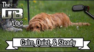 Developing Calm, Quiet, and Patient Dogs | Ep: #191