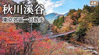 秋川溪谷｜東京郊區一日散步壯麗溪谷美景與田園風光、釜飯&漢堡排&壽司&天婦羅&可樂餅！無雷日式美食吃整天太幸福了｜日本旅遊、日本旅行、Satori日本生活