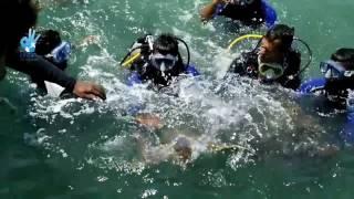 Removal of Ghost Fishing Nets and Rescue of Marine Life