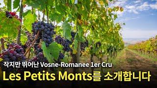 [Eng.sub] 본로마네 프리미에 크뤼 레 쁘띠 몽 (Vosne Romanee 1er Cru Les Petits Monts)