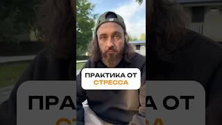 Забирай практики в моем тг канале: YogaKavacha #практика #йога #упражнения
