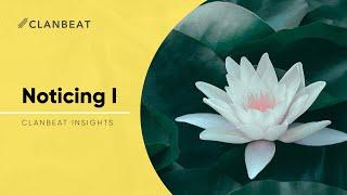 Noticing I | Clanbeat Insights