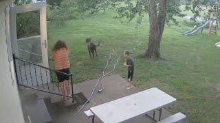 Surveillance Video: Tree Falls On Young Girl During Storm