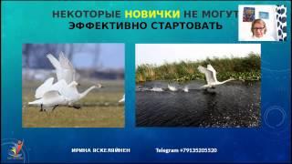 Успешный старт "Гравитация на старте" Ирина Яскеляйнен 07 03 2017