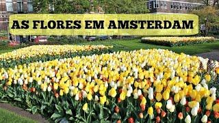 FLORES EM AMSTERDAM NA HOLANDA - VLOG