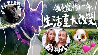 二人一犬同居領養唐狗生活從此不一樣!!!!️丨Boey&Poki