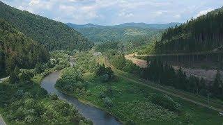 Карпати влітку. Славське