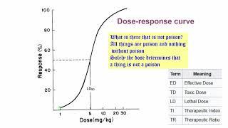 Lecture 2. Part 1. Dose-Response curve.