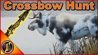 Hunting with Crossbows | theHunter: Call of the Wild 2018