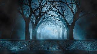 Relaxing Spooky Music - Bat Woods | Dark, Enchanted, Gothic 123