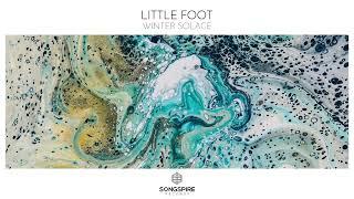 Little Foot - Winter Solace