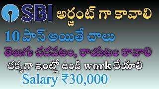 SBI Notification 2025 | అర్జంట్ గా కావాలి | M Tube Jobs | Free Jobs