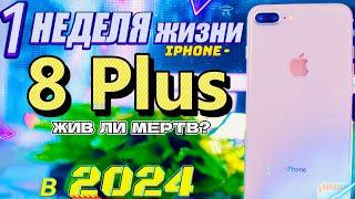 Каково ходить с iPhone 8 Plus в 2024 году, стоит ли брать?!