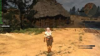 【The Witcher 3 : Wild Hunt 】  裸Mod