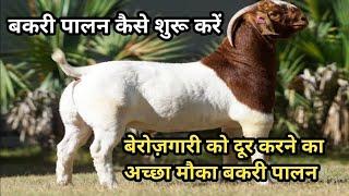 बकरी पालन कैसे करें 2025 || bakri palan kaise kare