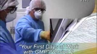 Your First Days at Work with GMP v2