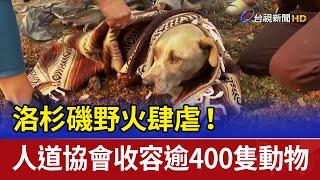 洛杉磯野火肆虐！ 人道協會收容逾400隻動物