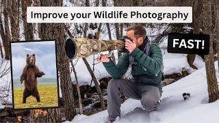 The Wildlife Photographer's roadmap. Mastering different types of images to improve your photography