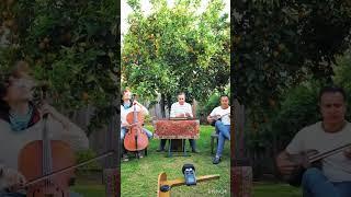 Under the Orange Tree Shade