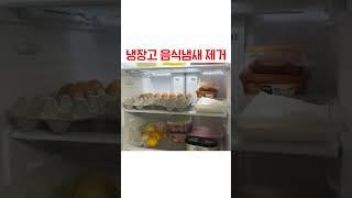 천연성분 100%로 냉장고 냄새 싹~ 잡아주는 냉장고 탈취제! #shorts