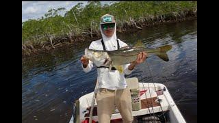 BIG SNOOK Season Has Arrived!!!