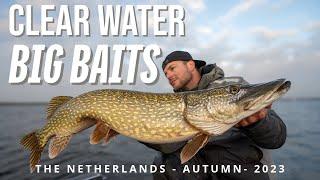 Big Fish on a Clear Water Lake - Autumn Pike Fishing