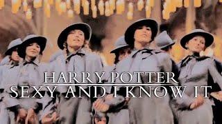 Harry Potter | Sexy And I Know It