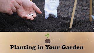 Let's Grow Stuff - Planting In Your Garden