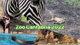 Zoo Cantabria 2022 / Musica Alegre