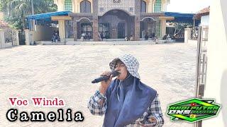 ANDI PUTRA 1 Camelia Voc Winda Live Ciasem Sawah Baru Tgl 16 Desember 2023