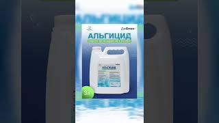 Как Быстро Очистить Бассейн от Водорослей за 24 Часа?  | карточки для wildberries