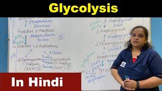 Glycolysis- Hindi | EMP Pathway -Embden Meyerhof Parnas (EMP)| Biochemistry | Nursing Lecture