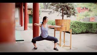 8 Brocades Qigong Practice