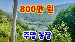 [147] 거창땅 거창촌땅 주말농장 800만 원
