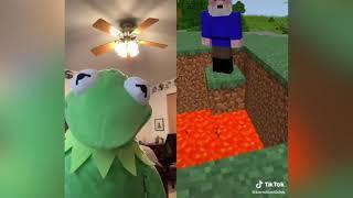 Funny Kermit the frog videos of 2020 (Funny Moments Part 1)