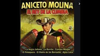 MIX DE ANICETO MOLINA