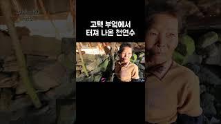 돈 주고 물 사먹을 필요 없는 시골 할머니 #shorts