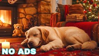 Relaxing music for dogs to sleep  Music to help dogs relax  Anxiety Relief Music For Dogs