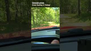 Owner Financed Land For Sale in Arkansas. Only $1,500 Down! WZ08 #land #shorts