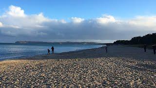 Sammeln am Strand von Prora - Fossilien suchen an der Ostseeküste #9