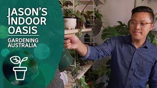 Jason Chongue's plant-filled home