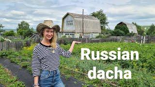 Russian dacha / Far East of Russia