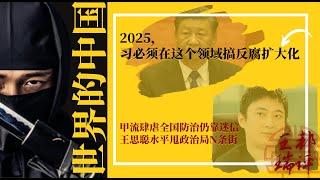 2025，习必须在这个领域搞反腐扩大化；甲流肆虐全国防治仍靠迷信，王思聪水平甩政治局N条街 |《#世界的中国》（20250110）