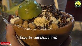 Esquite con CHAPULINES, Elotes, Tamales, Chileatole, Pozole, en la primer feria del ELOTE en Atlixco