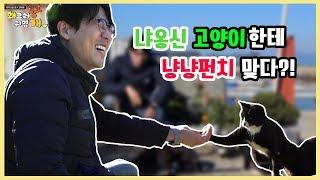 한국의 고양이섬 욕지도에서의 하루